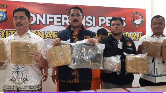 Polda Riau Tangkap Komplotan Pengedar 15 Kg Ganja