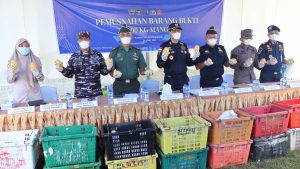 Bea Cukai Riau Gagalkan Penyelundupan Ribuan Mangga dari Malaysia